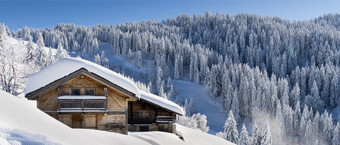 MY DREAM HOME, agence immobilire 74