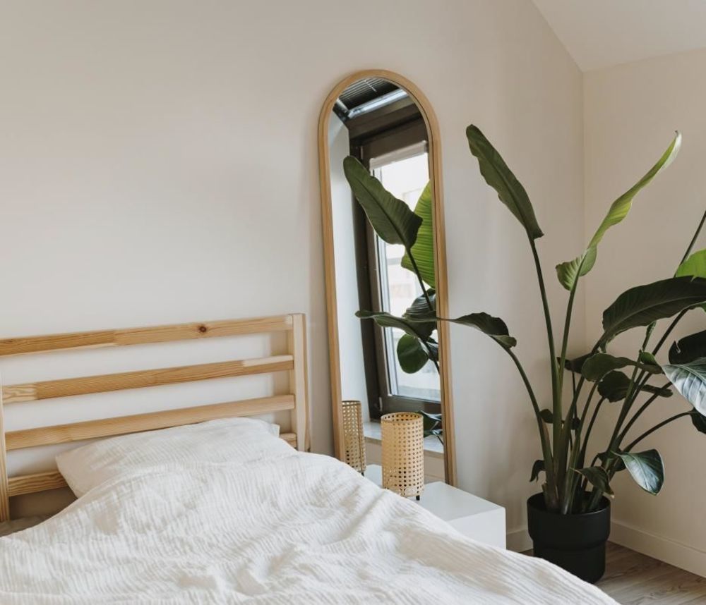 Appartements neufs   Pessac (33600)