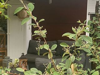  Appartement � louer 3 pi�ces 55 m�