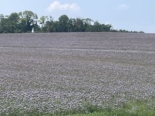  Ferme � vendre 1 pi�ce 120000 m�