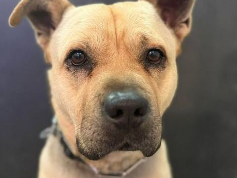 ROX 300 26270 Loriol-sur-dr�me