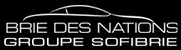 BRIE DES NATIONS