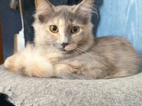 BECKY &agrave; la r&eacute;servation 1 26600 Tain-l'hermitage