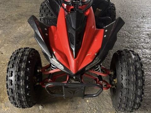 AUTRES Quad 2023 occasion Villejuif 94800