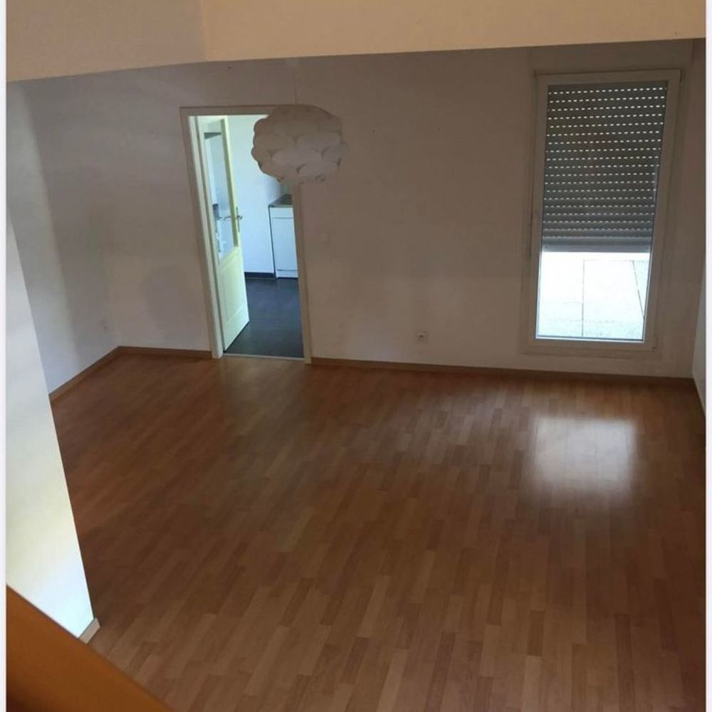Vente Duplex/Triplex Duplex 3 pièces Bischwiller