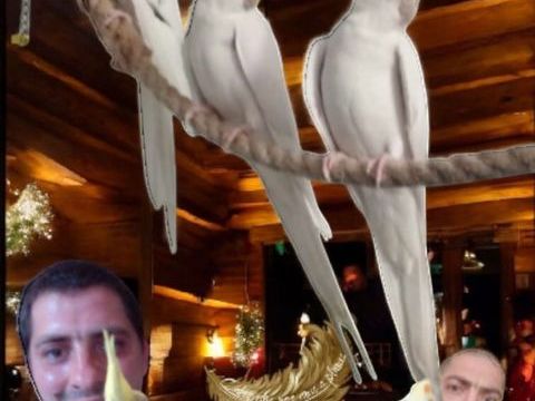 Calopsites EAM 1 62200 Boulogne-sur-mer