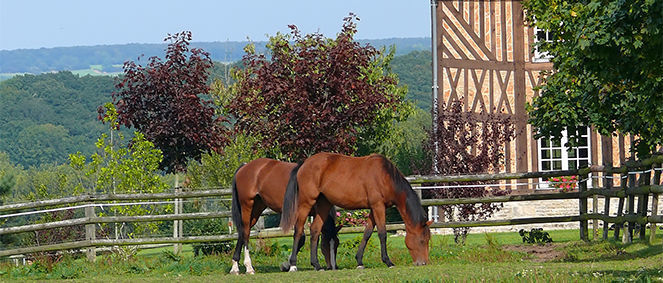 Agence CAZIN IMMOBILIER Vimoutiers