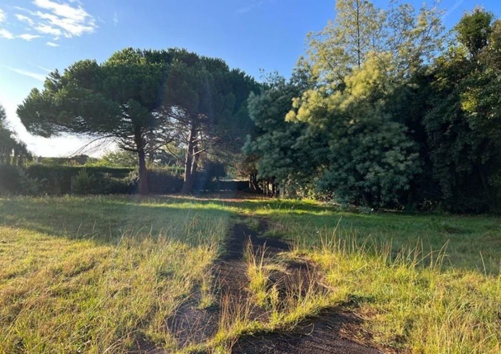   Dolus-d'Olron (17550)