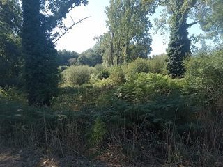  Terrain � vendre 5934 m�