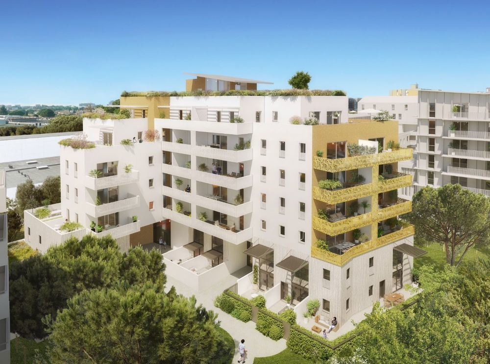   Montpellier (34000)