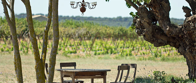 Agence Amevet Immobilier Jonquerettes