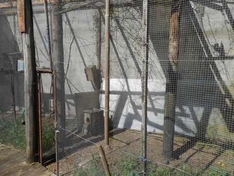 VOLIERES A DONNER
0 33140 Villenave-d'ornon