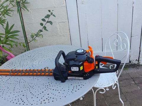 Taille haie 130 33130 B�gles