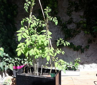  Maison � vendre 5 pi�ces 180 m�