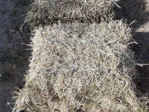 Foin de prairie naturelle 1 49250 Saint-georges-du-bois