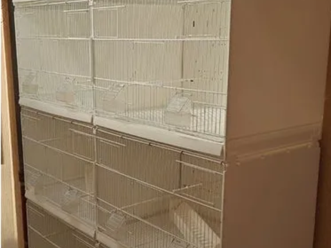 Cages d'&eacute;levage 2gr 1m20
80 40000 Mont-de-marsan