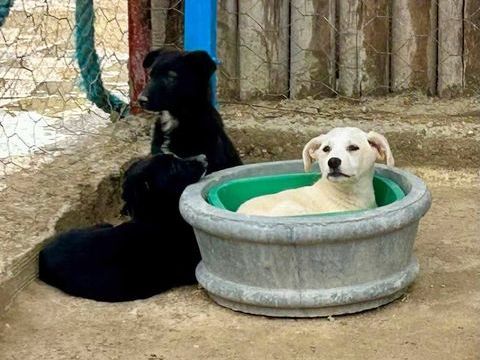 Moby 300 28000 Chartres