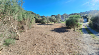  Terrain � vendre 1220 m�