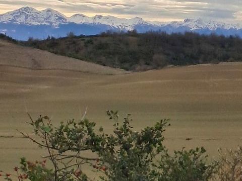   MAISON 6 PIECES CAMPAGNE Maison - 6 pi�ce(s) - 157 m�