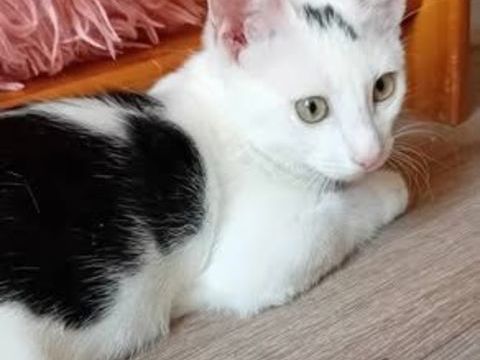 ARCHI 90 13140 Miramas