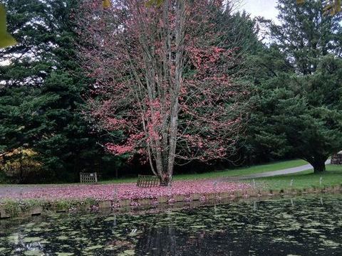   Couple cherche maison/chalet/ferme chalet - 4 pi�ce(s) - 80 m�