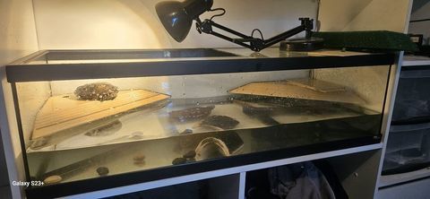 Terrarium 100 06800 Cagnes-sur-mer