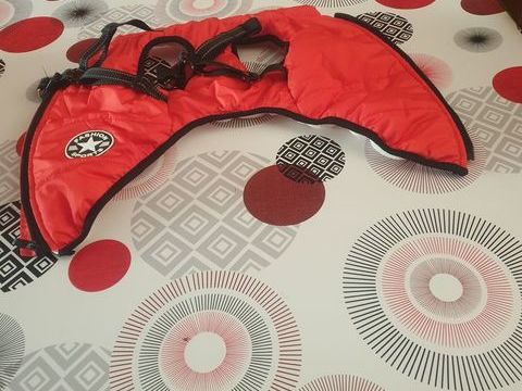 Arney petit chien 10 95000 Cergy