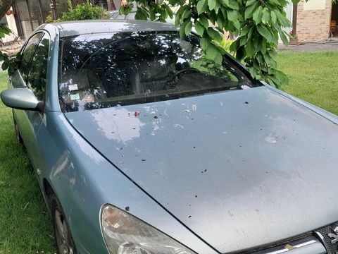 Peugeot 607 2.2 HDi 2000 occasion Yville-sur-Seine 76530
