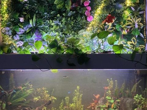 Aquarium 240 litres + meuble 170 12000 Rodez