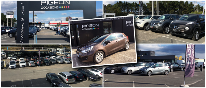 PIGEON OCCASIONS , concessionnaire 33