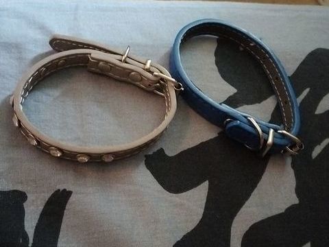 2 colier pour chiens 0 77280 Othis