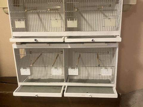 Cages de reproductions 60 94340 Joinville-le-pont