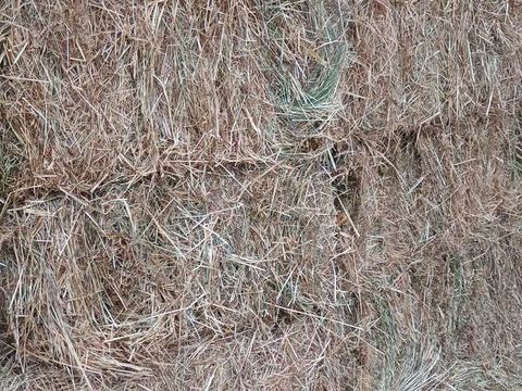 foin petites bottes 3 56520 Guidel