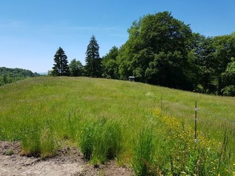 pr&eacute; &agrave; p&acirc;turage pour chevaux 1 74370 Les olli�res