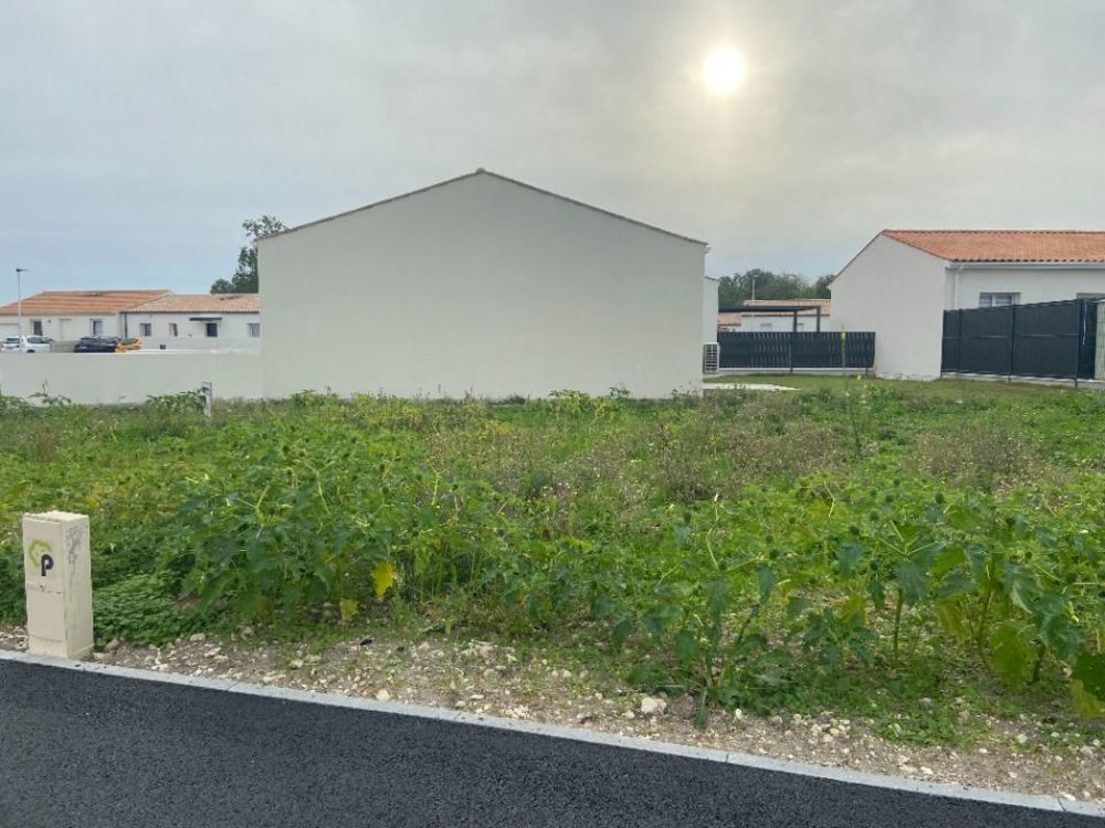 Maisons neuves   Semussac (17120)