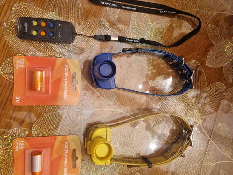 Collier de rep&eacute;rage 170 33380 Biganos