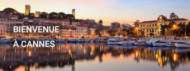 Agence STEPHANE PLAZA IMMOBILIER CANNES POINTE CROISETTE Cannes