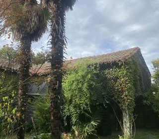  Maison � vendre 15 + pi�ces 330 m�