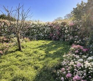  Maison � louer 3 pi�ces 80 m�