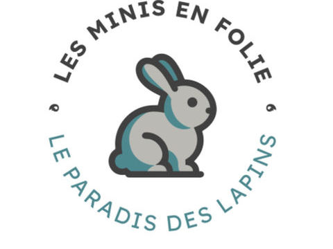 Divers lapin de tout âges et de toute race 10 59247 Fchain