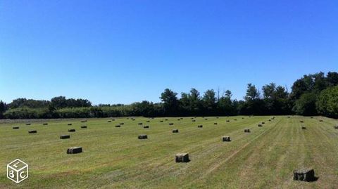 foin petites bottes   fourrage animaux permaculture 3 54380 Saizerais