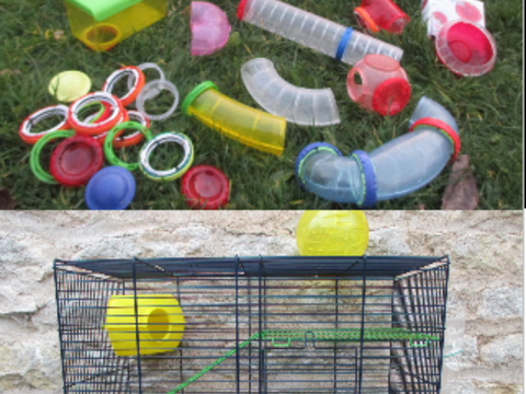 cages pour petit rongeur 15 18340 Levet