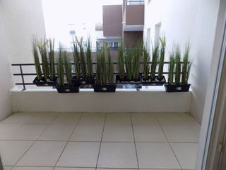  Appartement � vendre 2 pi�ces 43 m�