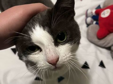 Toupile 170 44000 Nantes