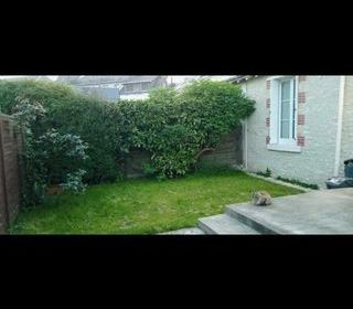  Maison � louer 2 pi�ces 35 m�