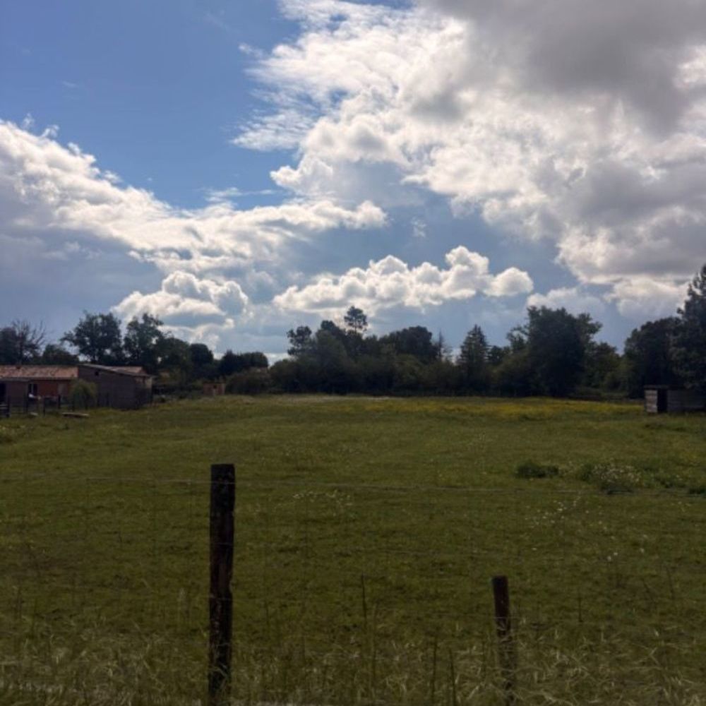   Chamadelle (33230)