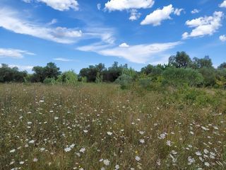  Terrain � vendre 220 m�