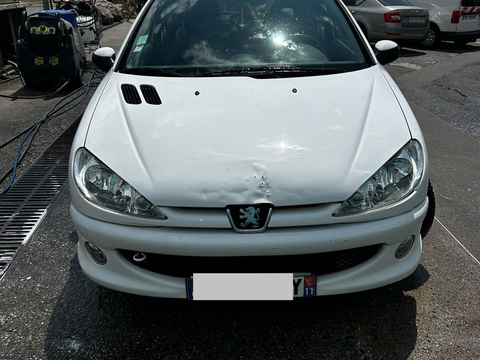 Peugeot 206 1.4 HDi Trendy 2007 occasion Villeneuve-lès-Lavaur 81500
