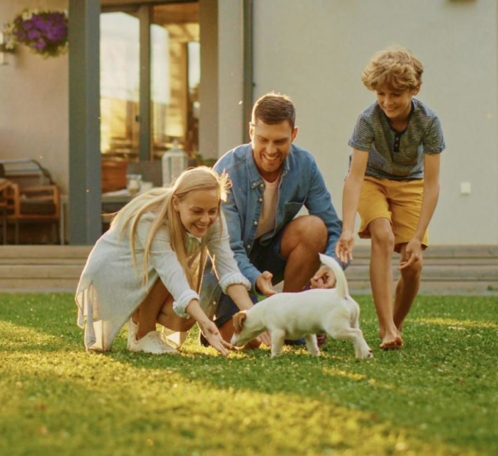 Appartements neufs   Clamart (92140)