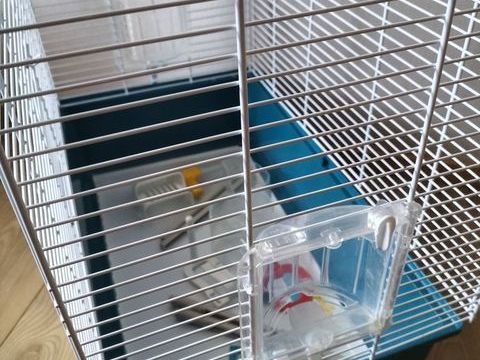 Cage oiseaux avec accessoires 
30 68640 Waldighofen
